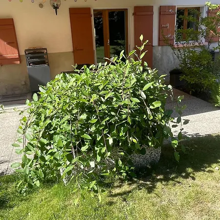 Chez Patricia Et Patrice Orsières
